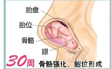 【怀孕30周】怀孕30周症状_怀孕30周胎儿变化_妈妈状态_怀孕30周注意事项