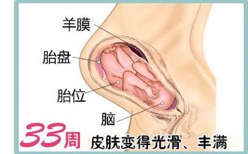 【怀孕33周】怀孕33周发育指标_怀孕33周胎儿变化_妈妈状态_怀孕33周注意事项